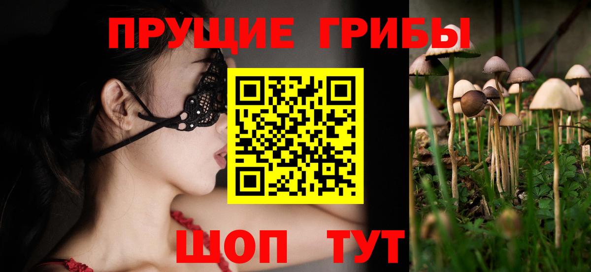 Псилоцибиновые грибы Magic Shrooms  Вход с VPN  Электрогорск 