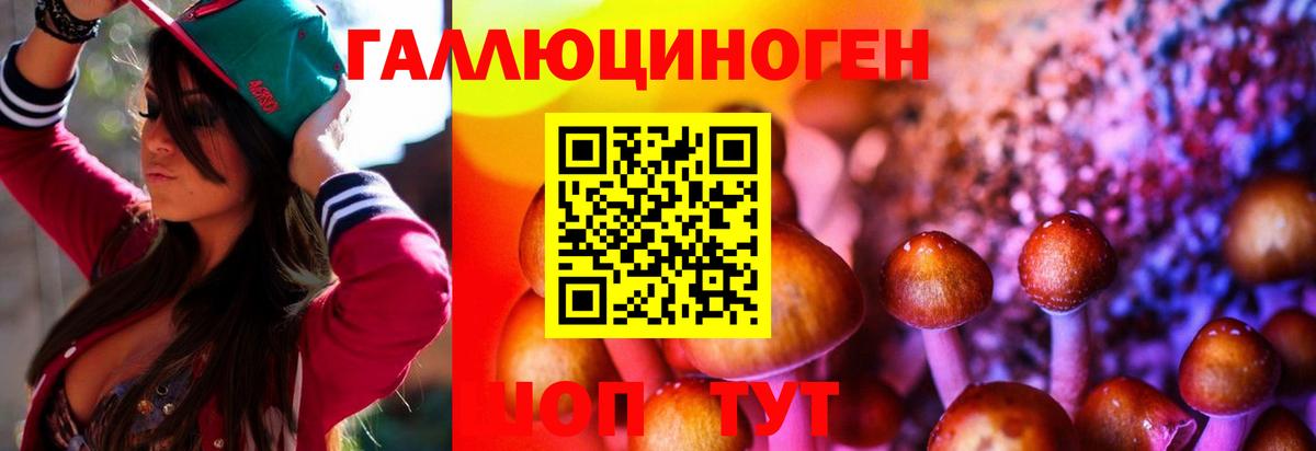 Галлюциногенные грибы MAGIC MUSHROOMS Электрогорск